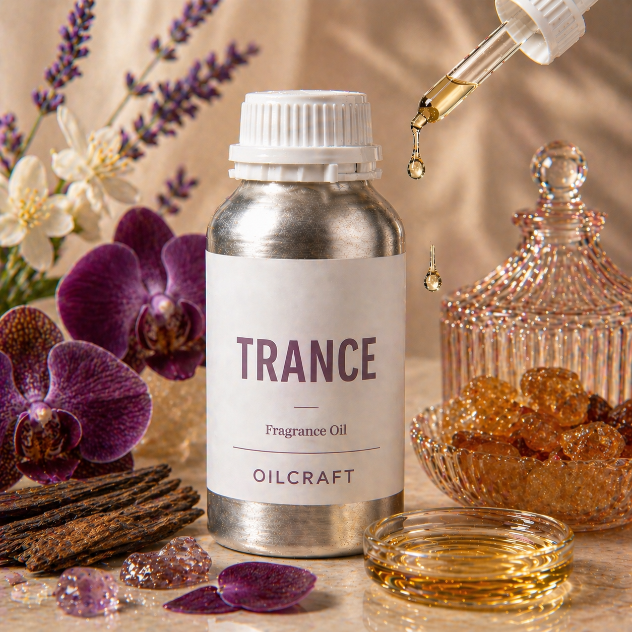 TRANCE